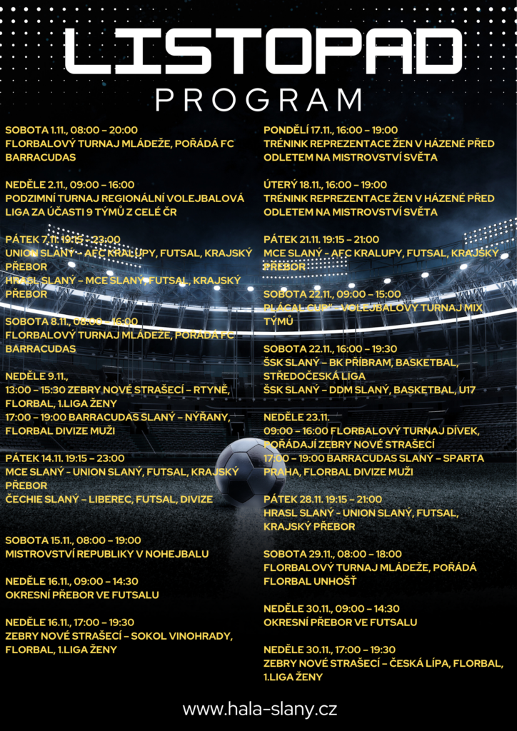 November sports program flyer, calendar of events, professional design